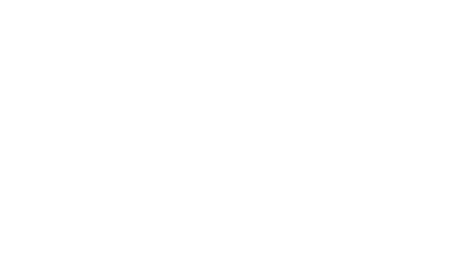 Logo BORYL