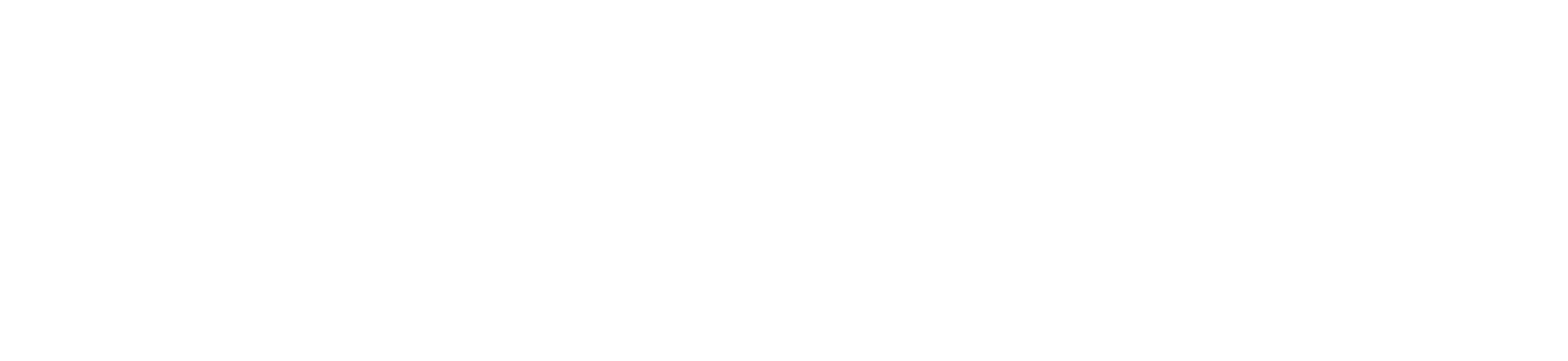 Logo BDM