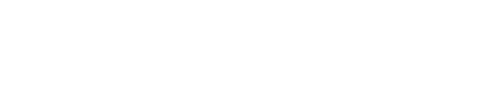 Logo brainsonic