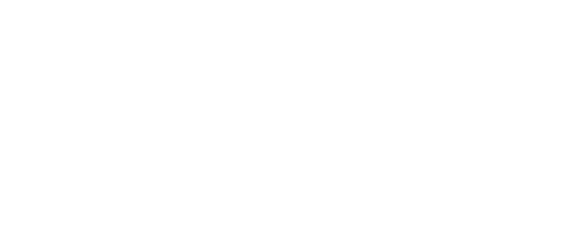 Logo NP digital