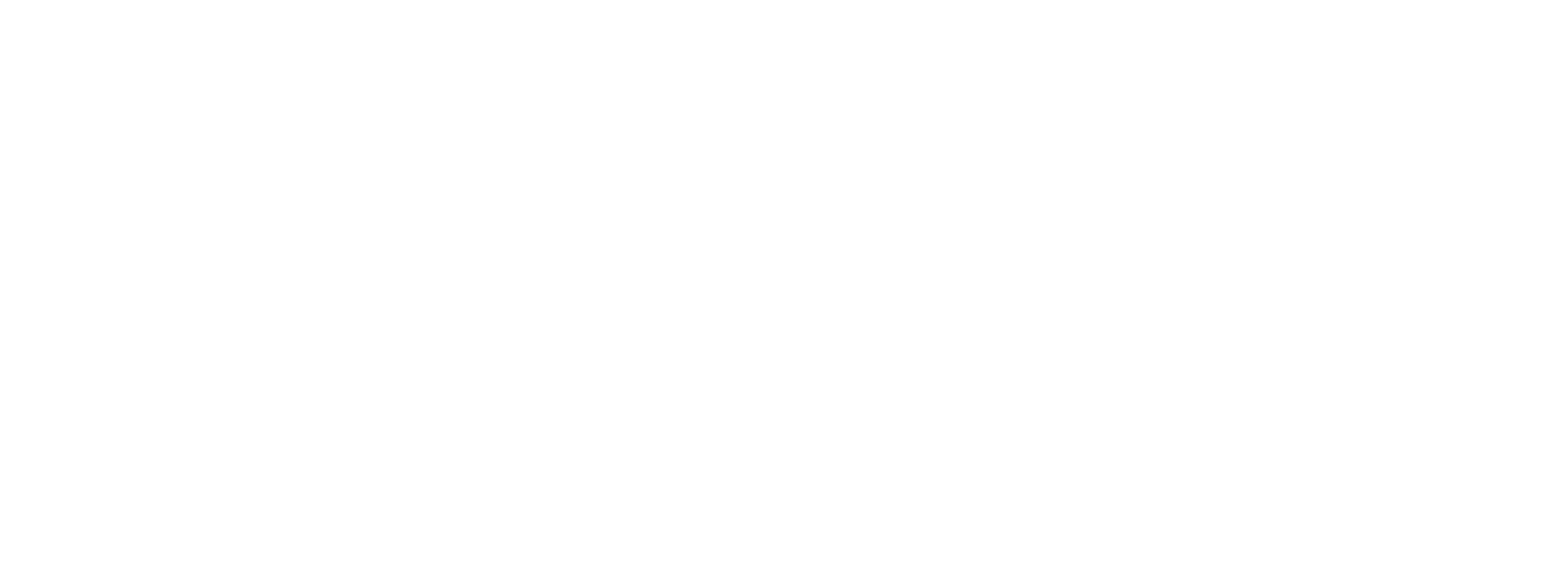 Logo Point.P